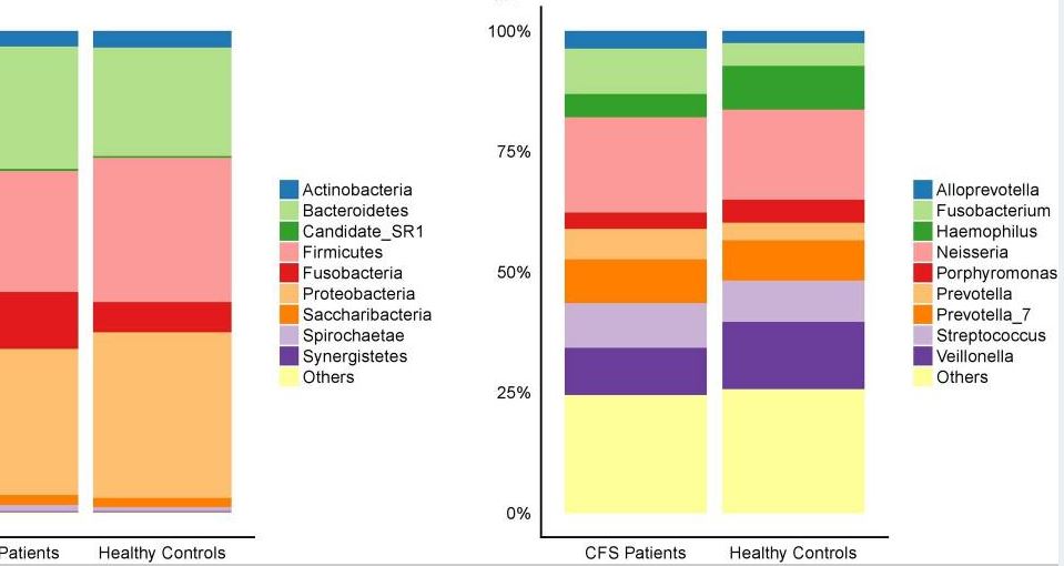 You are currently viewing Patienten mit chronischem Müdigkeitssyndrom weisen Veränderungen in der Zusammensetzung und Funktion ihres oralen Mikrobioms auf